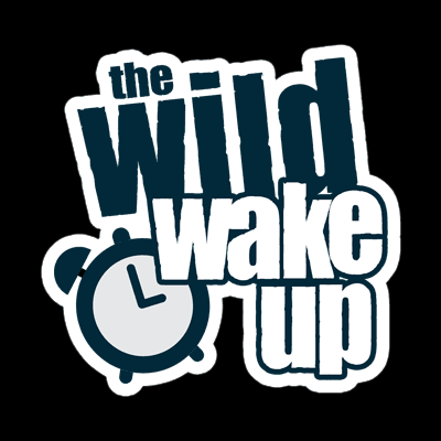 chip-ragsdale-a-wild-wake-up