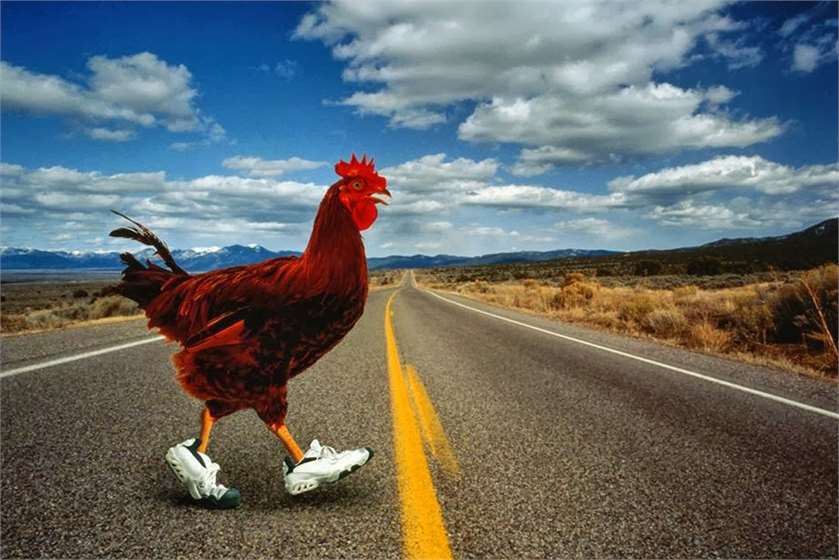 chip-ragsdale-why-chicken-crossed-road