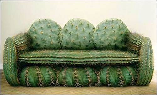chip-ragsdale-a-couch-of-cactus