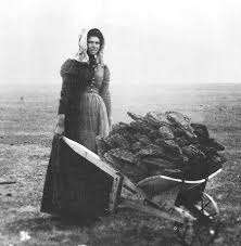 chip-ragsdale-pioneer-woman-hauling-wood